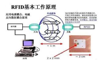 物联网技术RFID证书防伪数据管理系统方案 信息系统集成与物联网技术服务创新